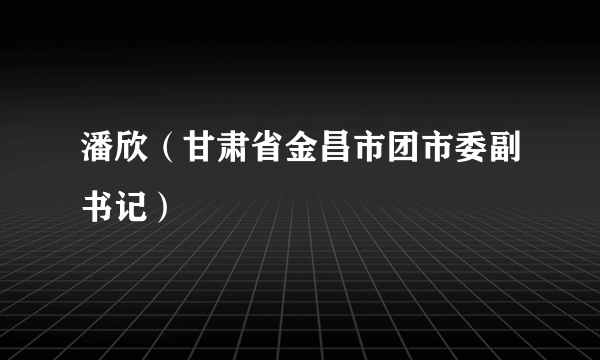 潘欣（甘肃省金昌市团市委副书记）