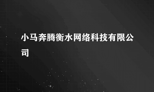 小马奔腾衡水网络科技有限公司