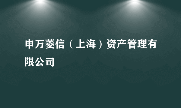 申万菱信（上海）资产管理有限公司