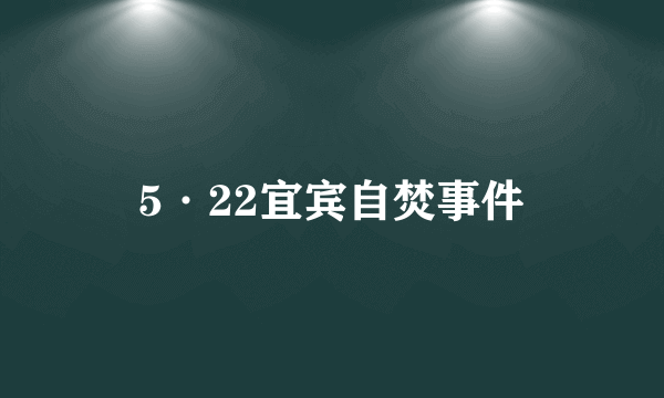 5·22宜宾自焚事件