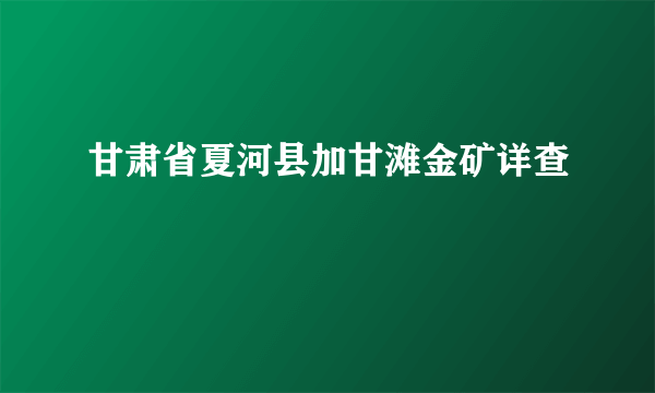 甘肃省夏河县加甘滩金矿详查