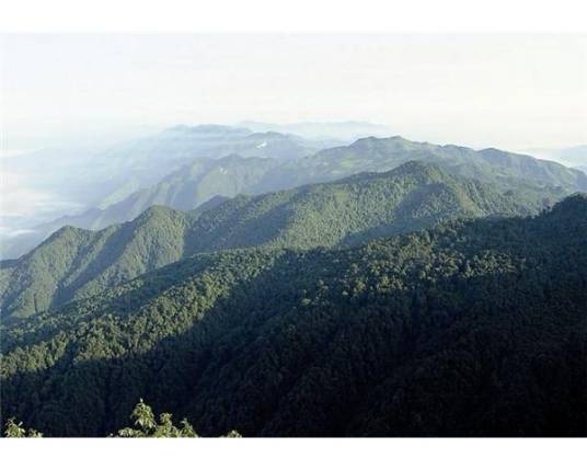 屏山县老君山风景区