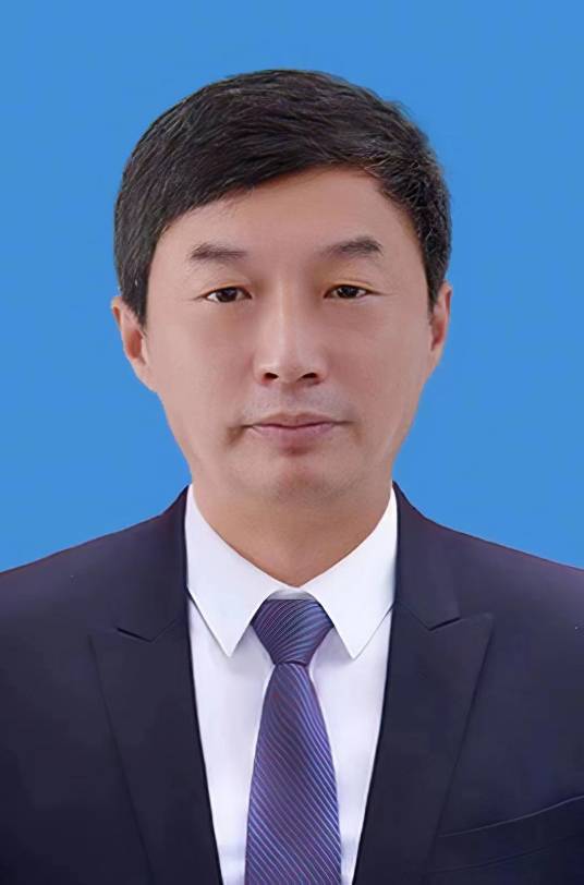 陈岩（黑龙江省伊春市人民政府副市长）