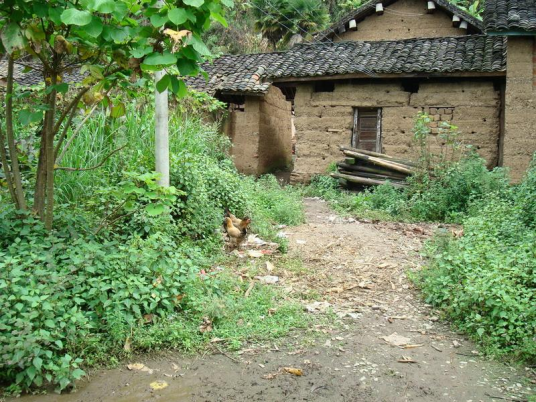 古里村（云南普洱市景东县景福乡下辖村）