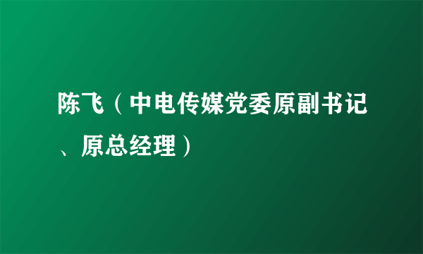 陈飞（中电传媒党委原副书记、原总经理）