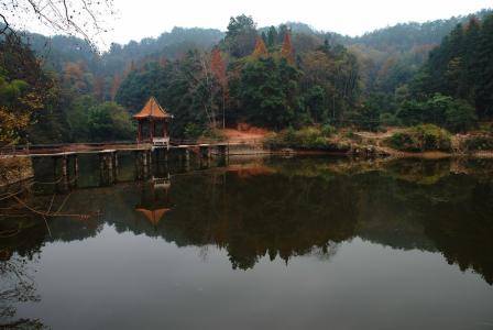 龙泉湖（安远县龙泉湖）