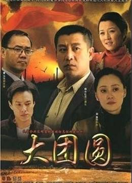 大团圆（2008年师小红主演电视剧）