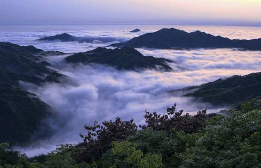 云雾山（浙江山脉）