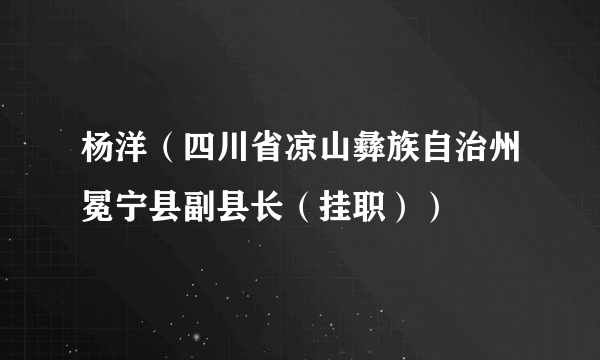 杨洋（四川省凉山彝族自治州冕宁县副县长（挂职））