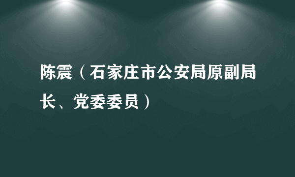 陈震（石家庄市公安局原副局长、党委委员）