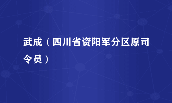 武成（四川省资阳军分区原司令员）