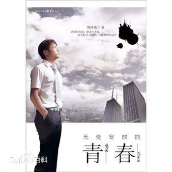 无处安放的青春（2010年重庆出版社出版的图书）