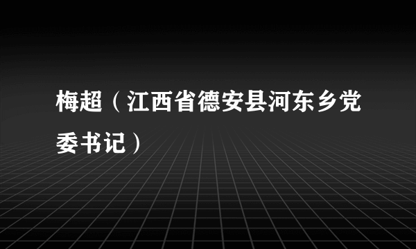 梅超（江西省德安县河东乡党委书记）