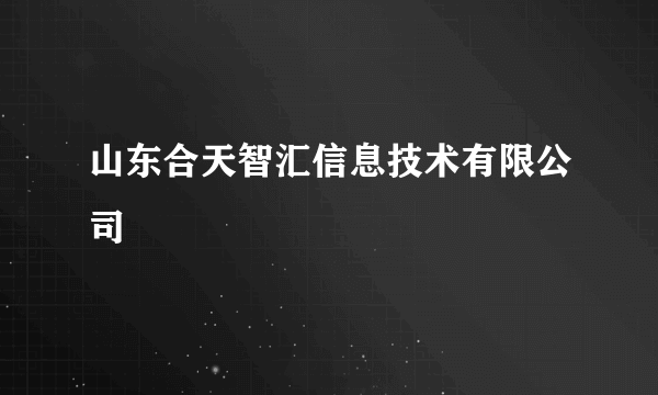 山东合天智汇信息技术有限公司