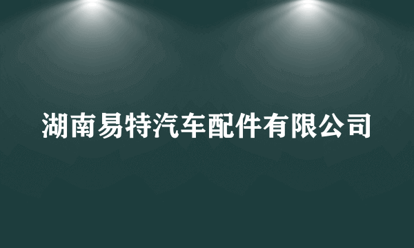 湖南易特汽车配件有限公司