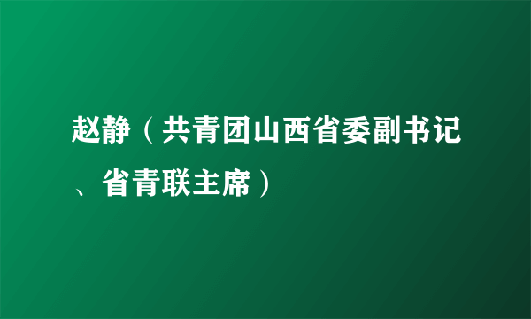 赵静（共青团山西省委副书记、省青联主席）