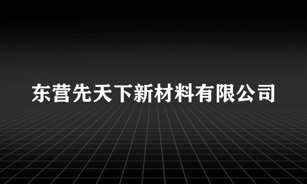 东营先天下新材料有限公司