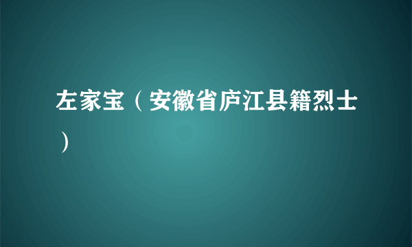 左家宝（安徽省庐江县籍烈士）