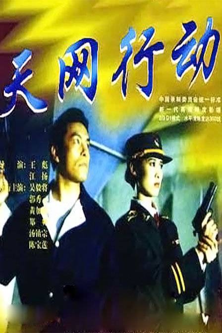 天网行动（1994年王彪执导的动作类电影）