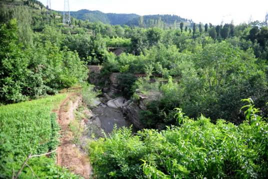 东泉村（山东省济南市莱芜区苗山镇下辖村）