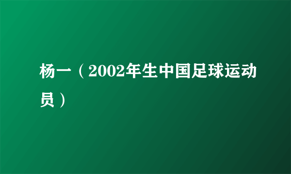 杨一（2002年生中国足球运动员）