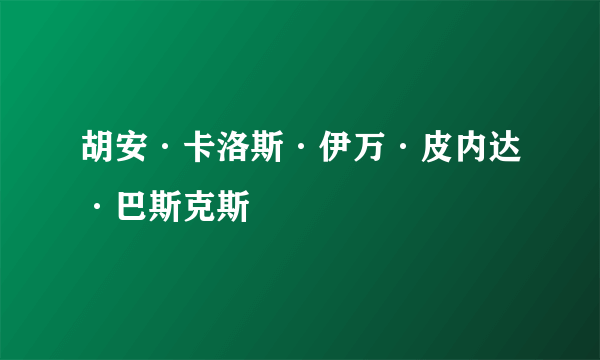 胡安·卡洛斯·伊万·皮内达·巴斯克斯