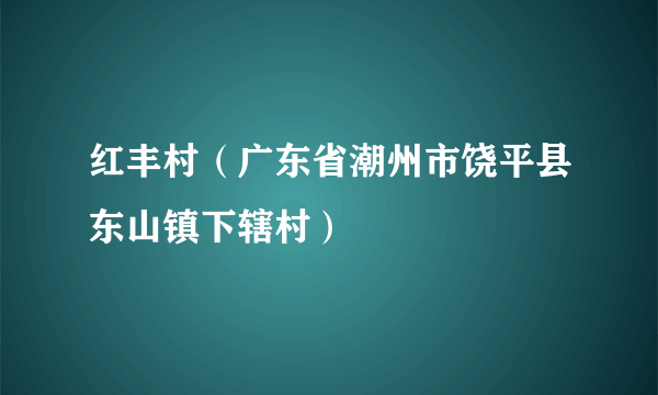 红丰村（广东省潮州市饶平县东山镇下辖村）