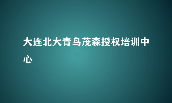 大连北大青鸟茂森授权培训中心