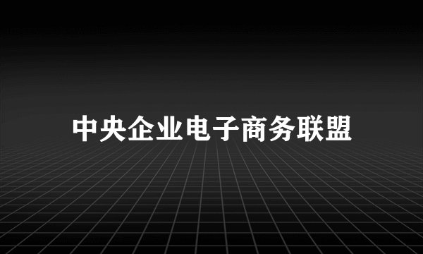 中央企业电子商务联盟