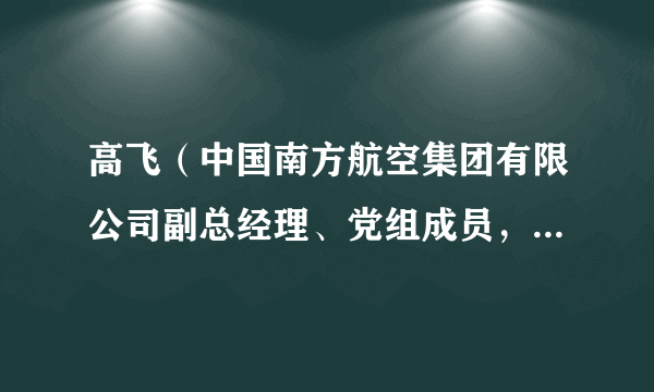 高飞（中国南方航空集团有限公司副总经理、党组成员，中国南方航空股份有限公司飞行总队总队长、党委副书记）