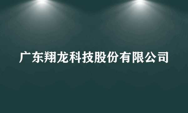 广东翔龙科技股份有限公司