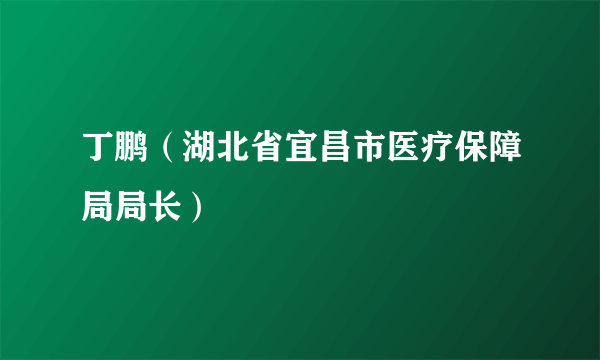 丁鹏（湖北省宜昌市医疗保障局局长）