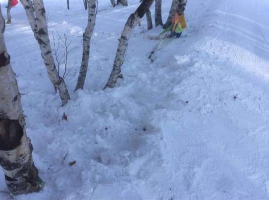 1·18北京滑雪场游客身亡事件