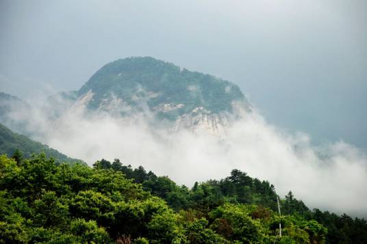 湖北大别山国家级自然保护区