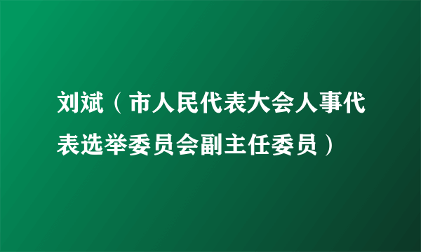 刘斌（市人民代表大会人事代表选举委员会副主任委员）