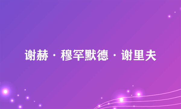 谢赫·穆罕默德·谢里夫