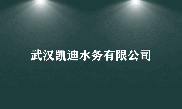 武汉凯迪水务有限公司