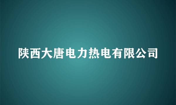 陕西大唐电力热电有限公司