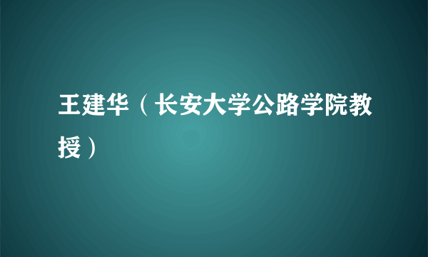 王建华（长安大学公路学院教授）