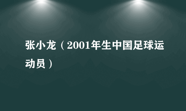 张小龙（2001年生中国足球运动员）