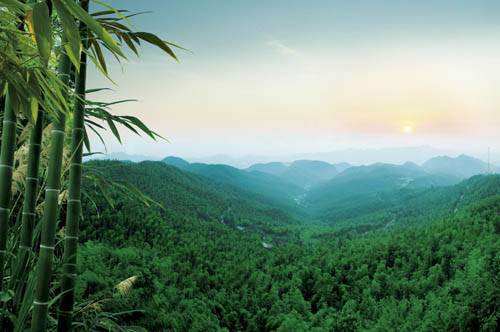 蔡伦竹海水利风景区