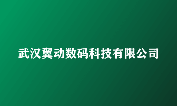 武汉翼动数码科技有限公司