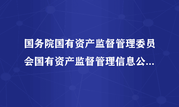 国务院国有资产监督管理委员会国有资产监督管理信息公开实施办法