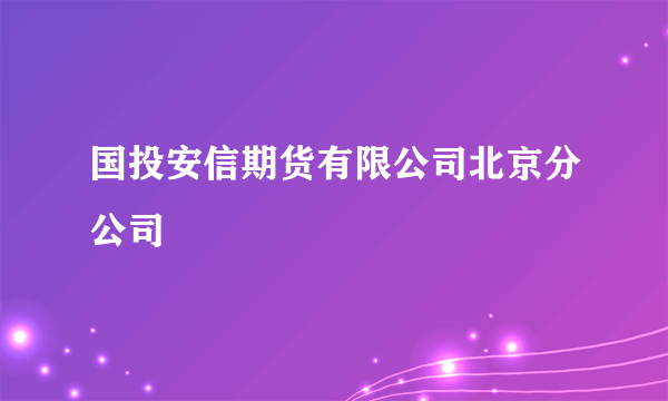 国投安信期货有限公司北京分公司