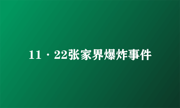 11·22张家界爆炸事件