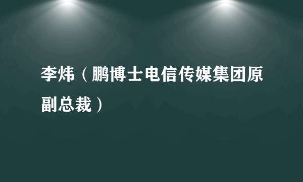 李炜（鹏博士电信传媒集团原副总裁）