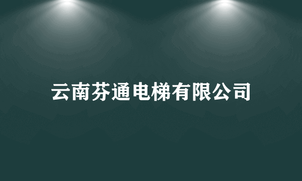 云南芬通电梯有限公司