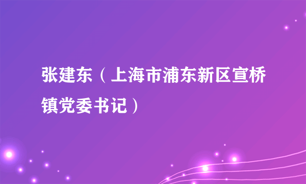 张建东（上海市浦东新区宣桥镇党委书记）