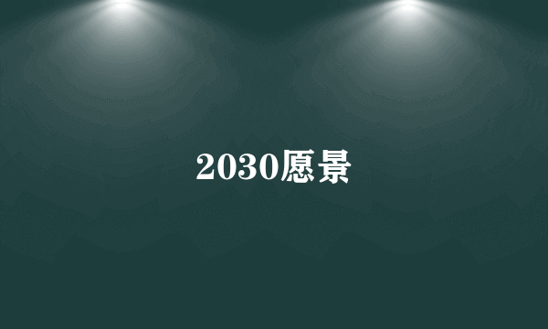 2030愿景