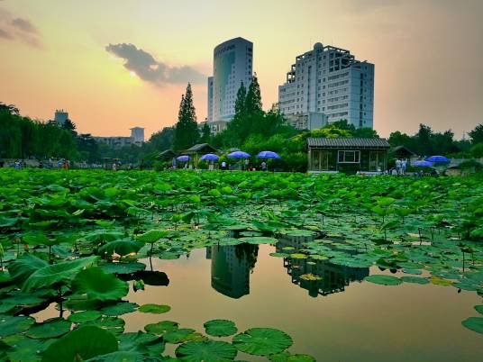 紫荆山公园（河南郑州紫荆山公园）